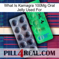 What Is Kamagra 100Mg Oral Jelly Used For new04